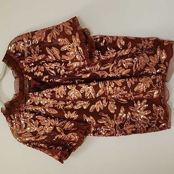 Anthropologie Womens Burnt Orange Floral Sequin Cut Out Blouse Top Size XL - Picture 6 of 16